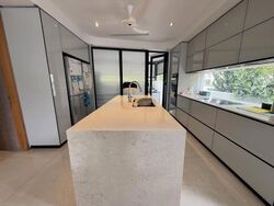 Carlisle Road (D8), Terrace #638639961
